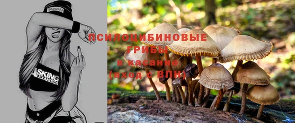 стаф Армянск