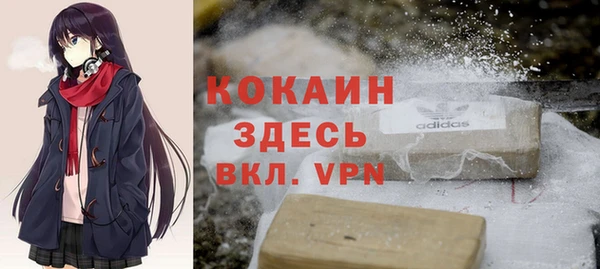 тгк Арсеньев
