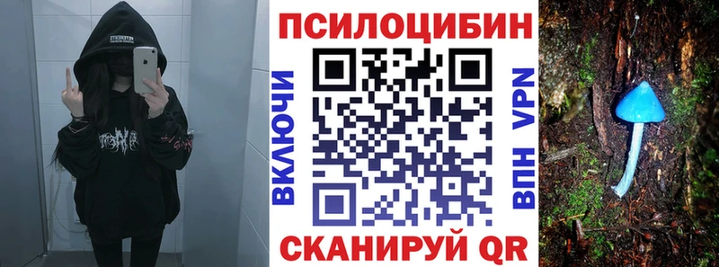 Псилоцибиновые грибы Psilocybe  Новоаннинский 